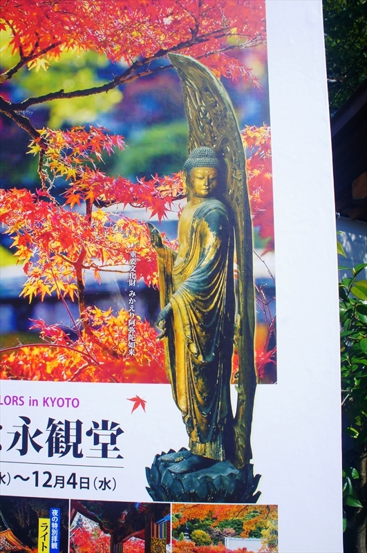 DSC00178_R