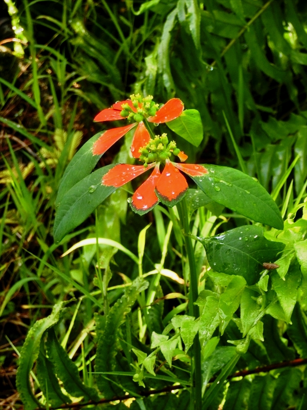 CIMG6524_R