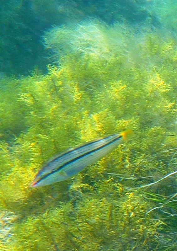 P1150067_R
