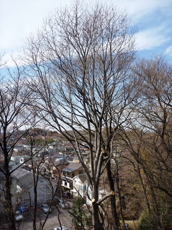 P1040687_R