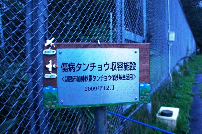 DSC00702_R