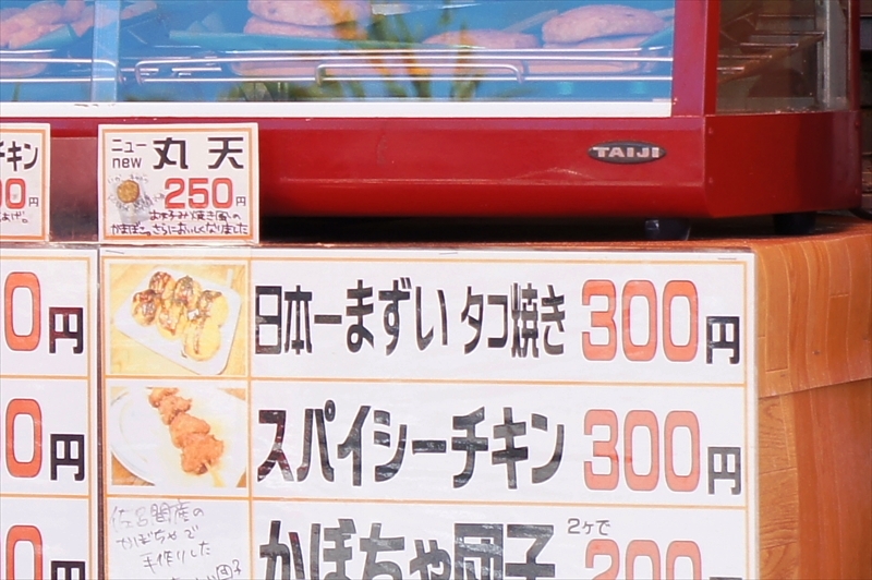 DSC00255_R