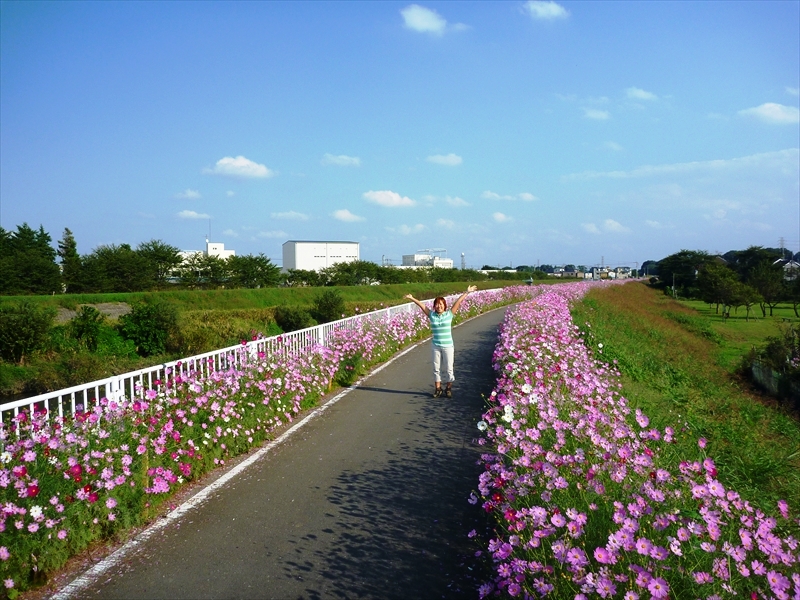P1070880_R