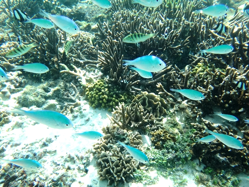 DSC09066_R