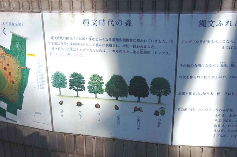 DSC00447_R