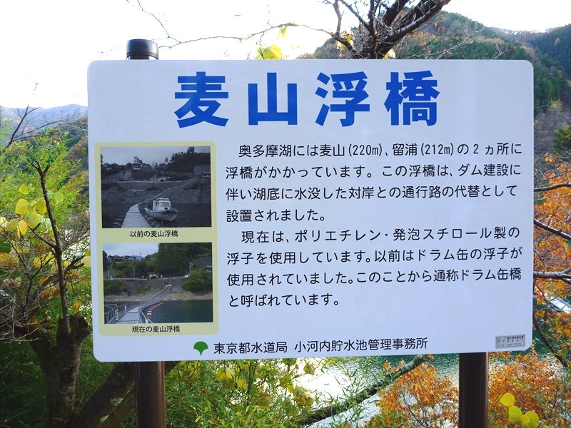 P1030625_R