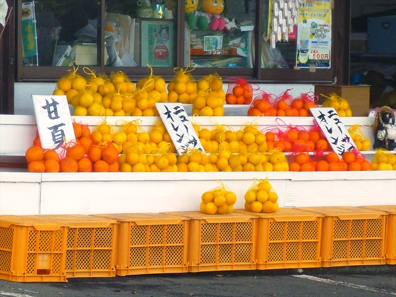 P1060505_R