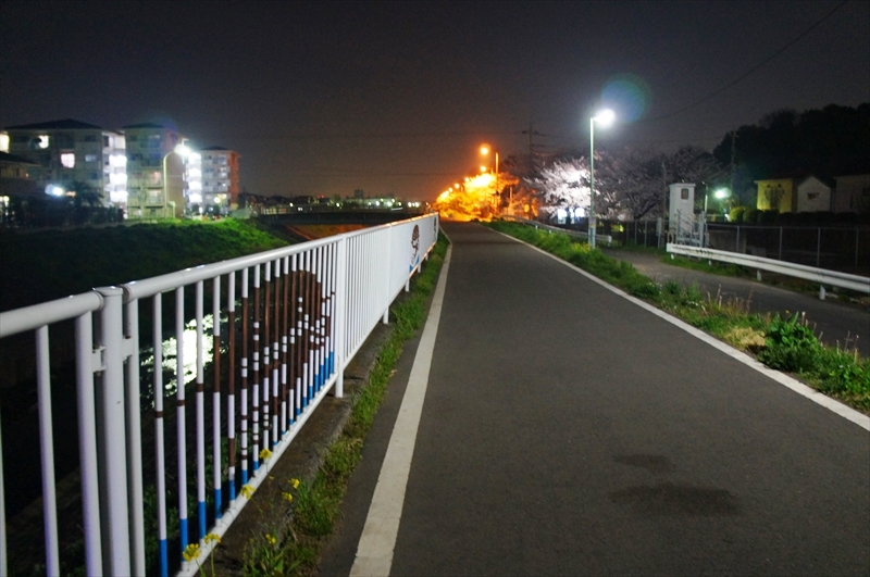 DSC01215_R
