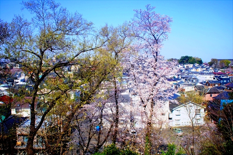 DSC00918_R