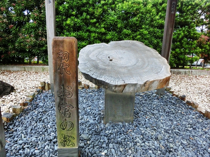CIMG7989_R