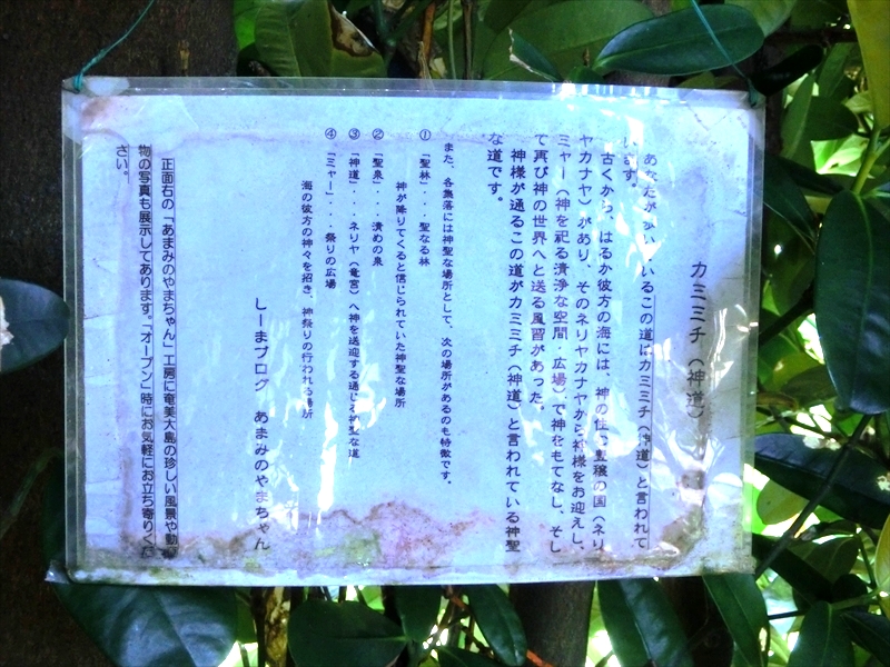 CIMG8576_R