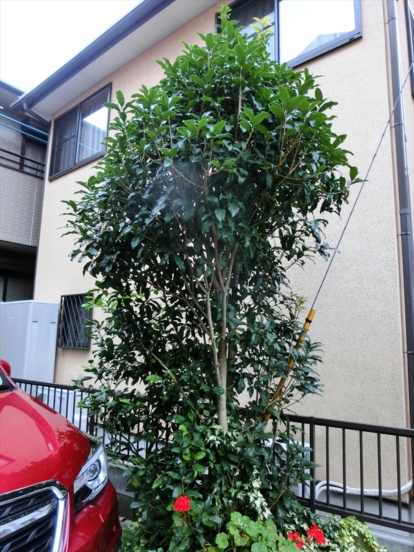 CIMG3257_R