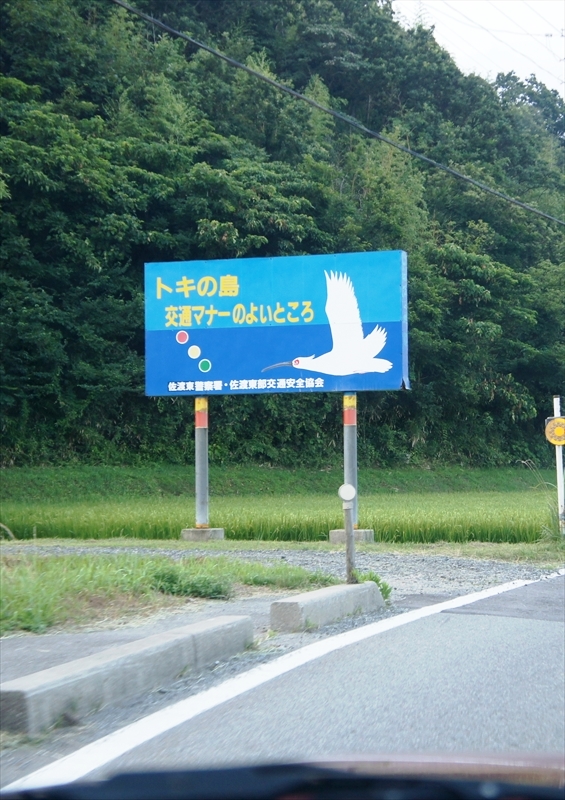 DSC04592_R
