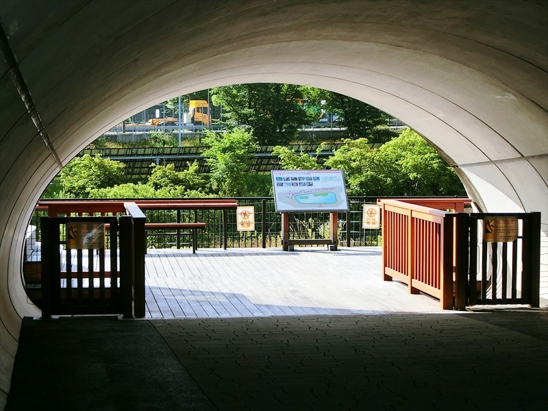 CIMG3485_R