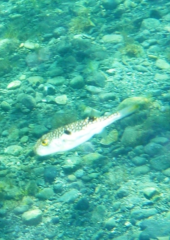 P1140998_R