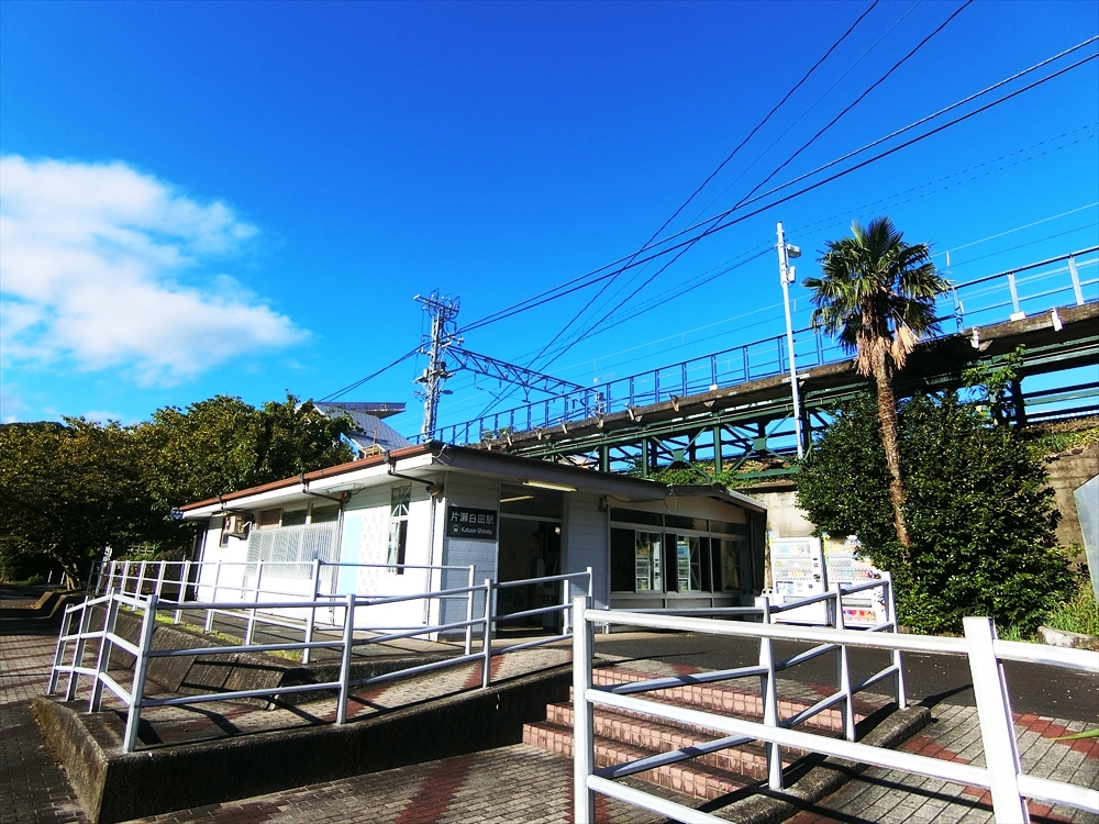 CIMG4594_R