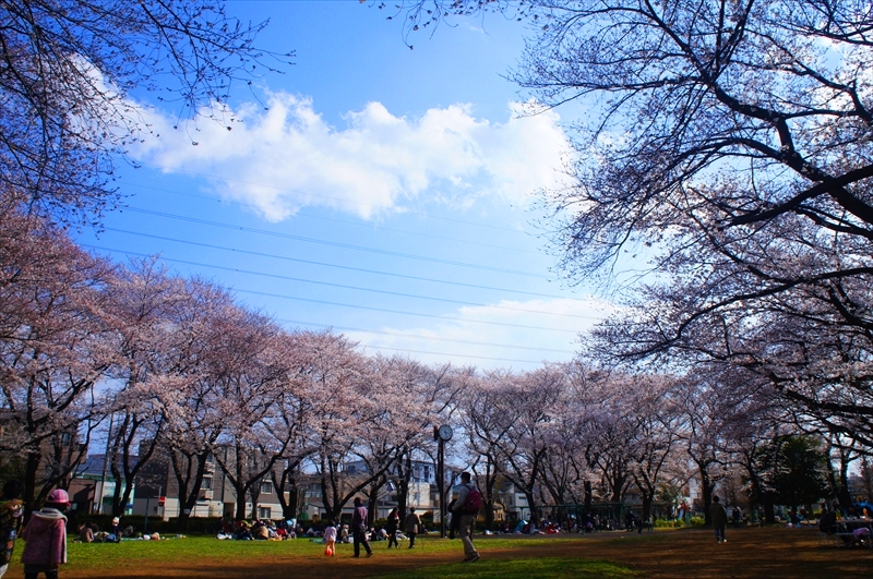 DSC02605_R