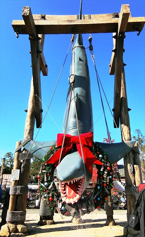 CIMG8742_R