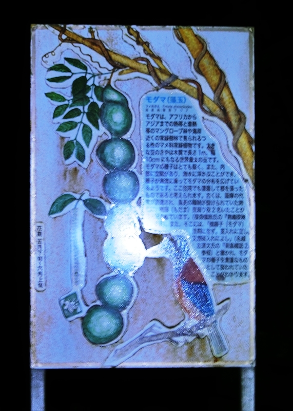 CIMG5252_R