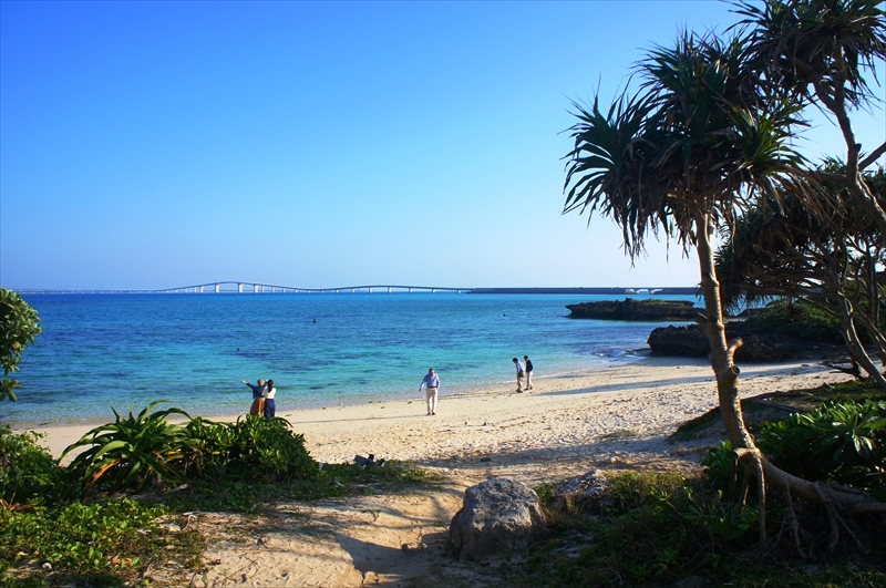 DSC01377_R