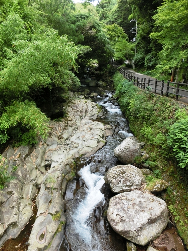 CIMG4662_R