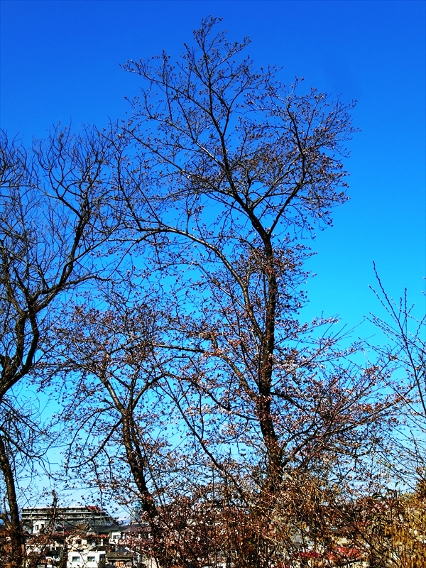 CIMG8921_R