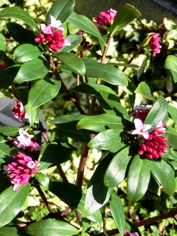 CIMG7844_R