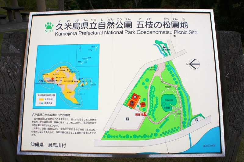 DSC02508_R