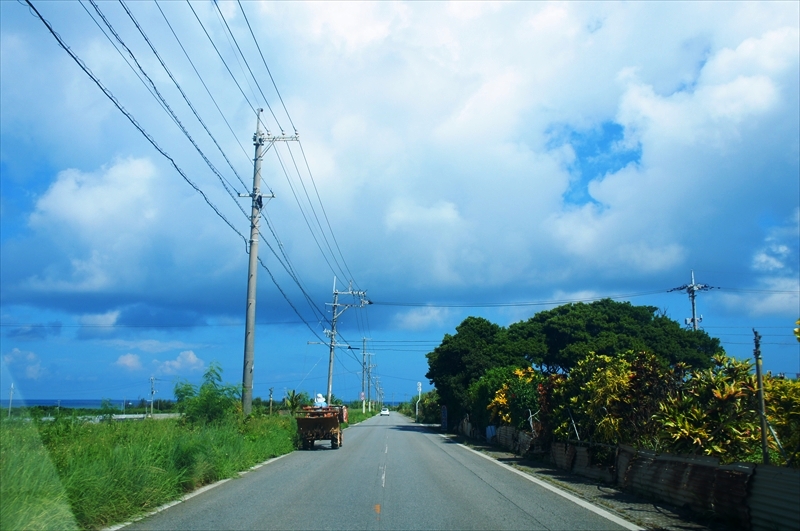 DSC00180_R