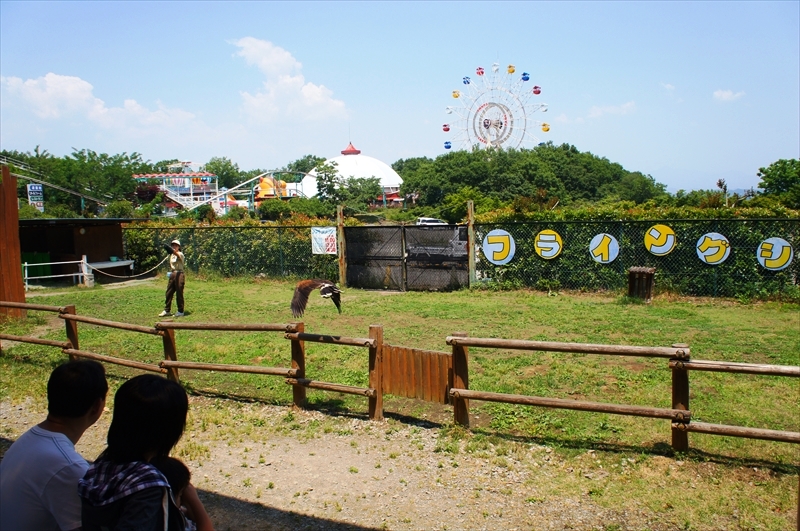 DSC08731_R