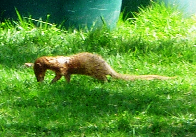P1020136_R