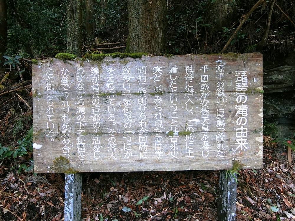CIMG8903_R
