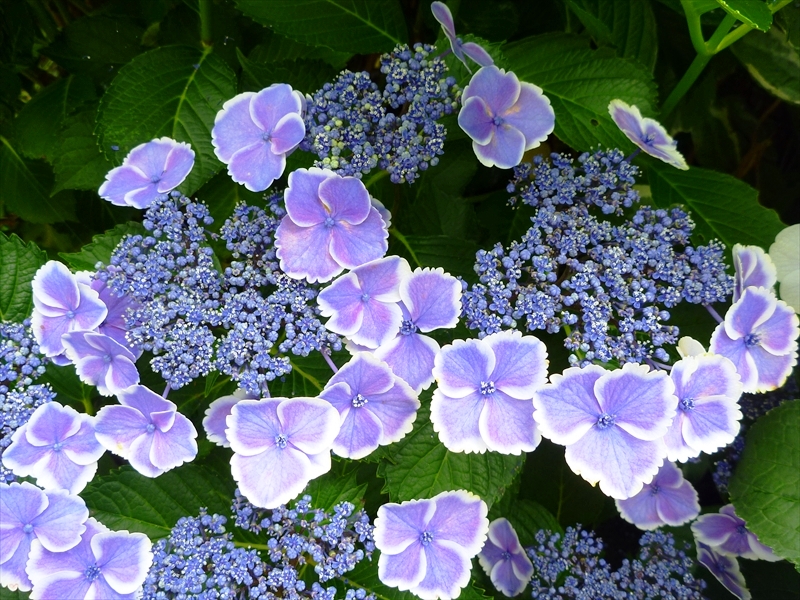 P1060361_R