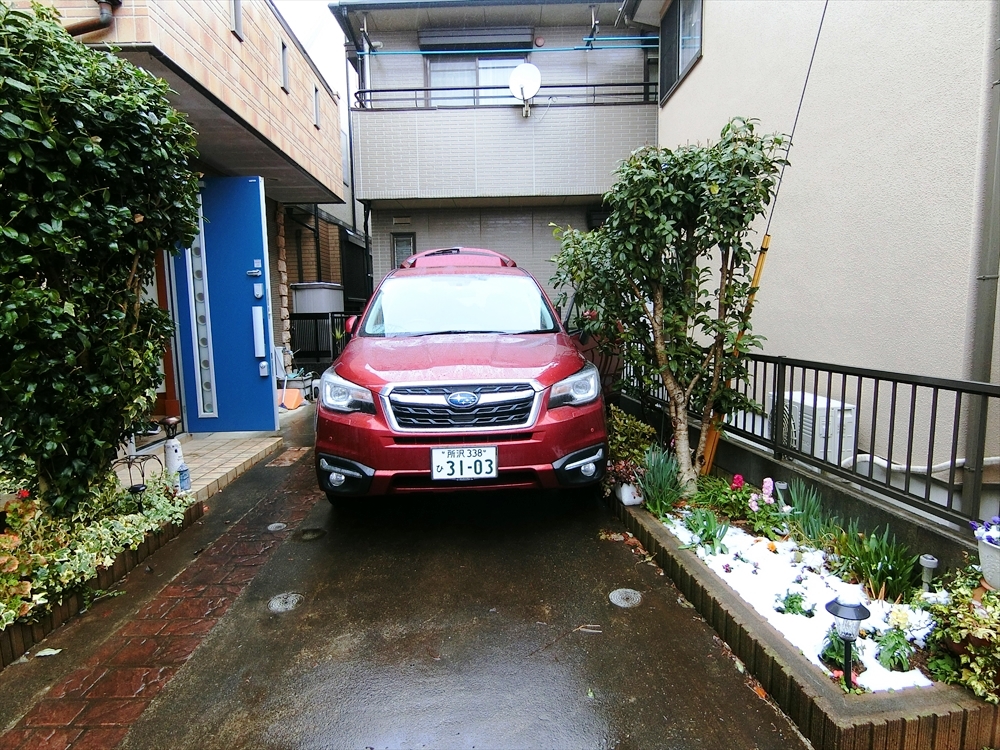 CIMG1291_R