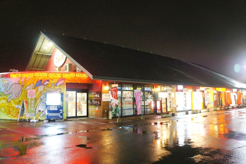 DSC01031_R