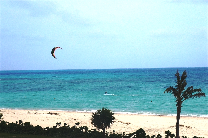 DSC03315_R