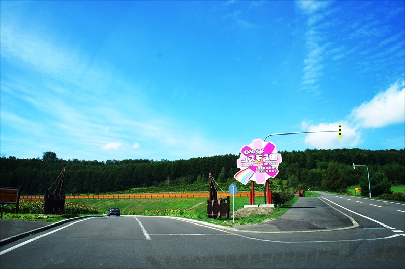 DSC00177_R