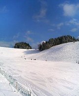 ダボス