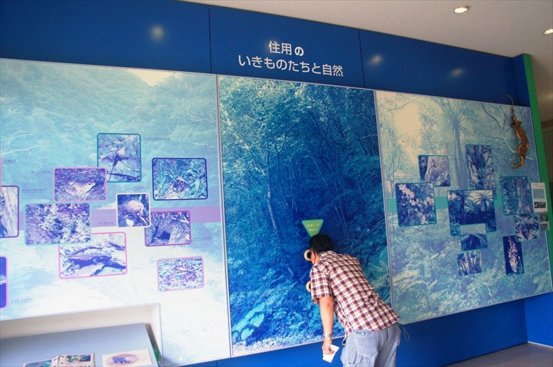 DSC00103_R