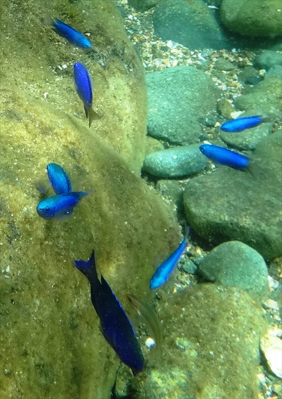 DSC0014_R