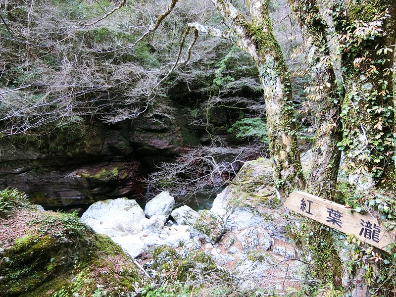 CIMG5691_R