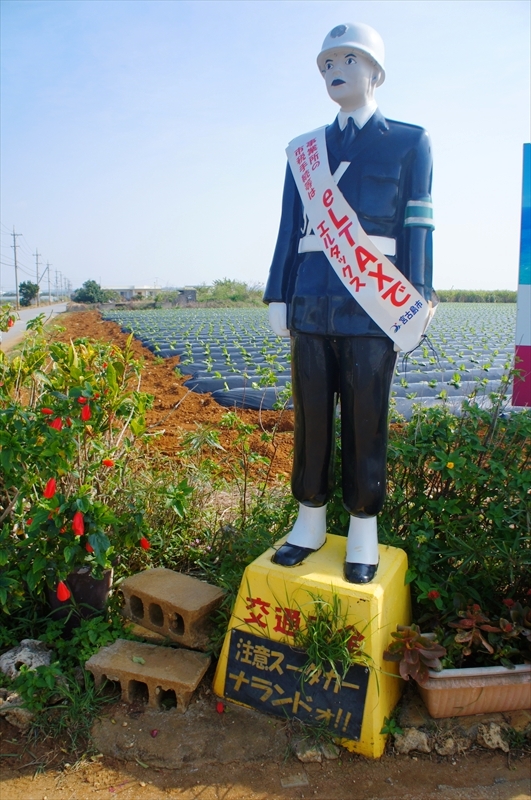 DSC00692_R