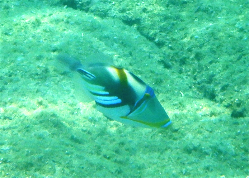R0016840_R