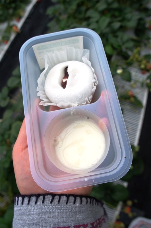 DSC06355_R
