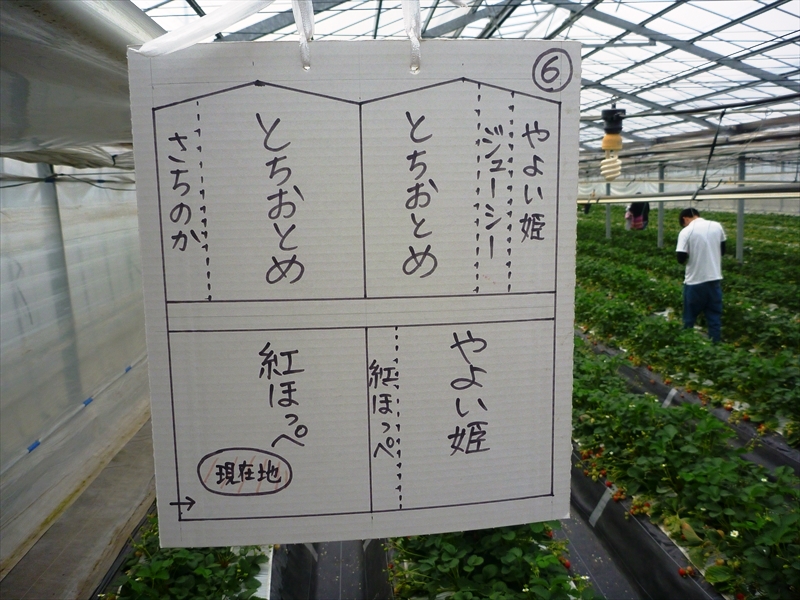 P1190423_R