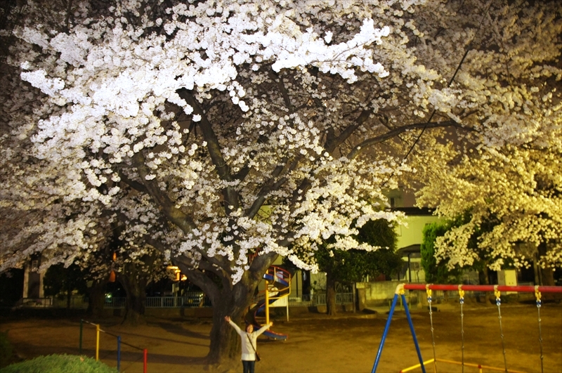 DSC01252_R