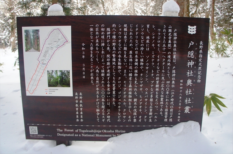 DSC00176_R