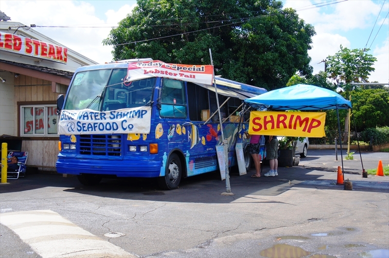 DSC08230_R