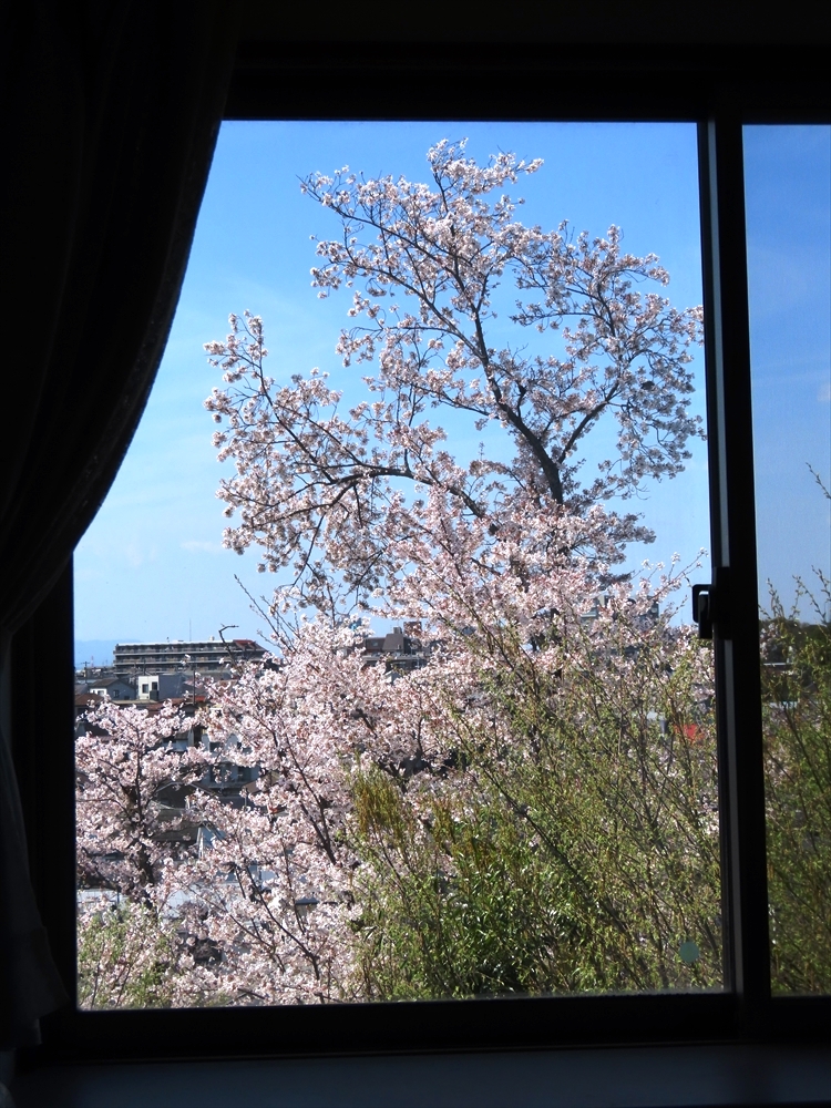 IMG_1486_R