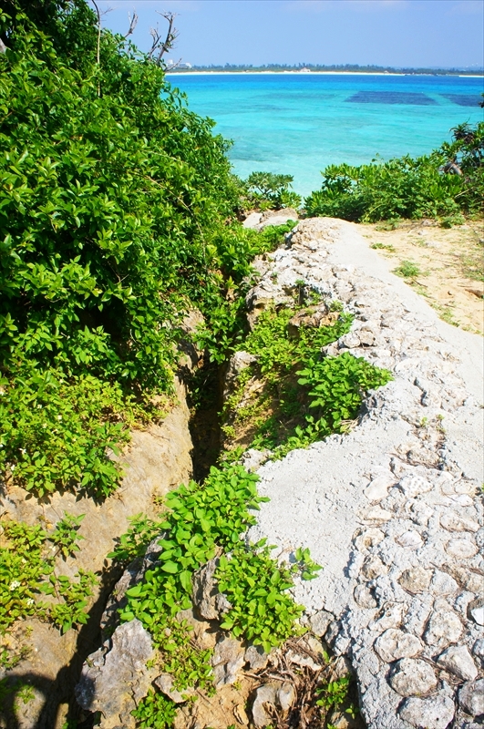 DSC00918_R